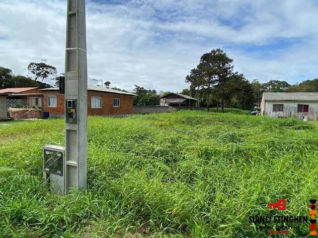 #773 - Terreno para Venda em Balneário Barra do Sul - SC - 3